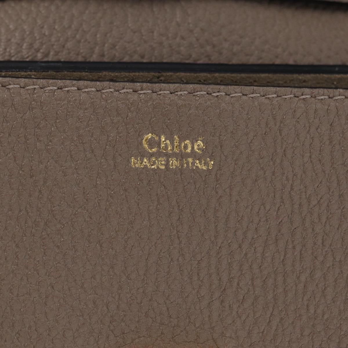Chloe Drew Leather Small