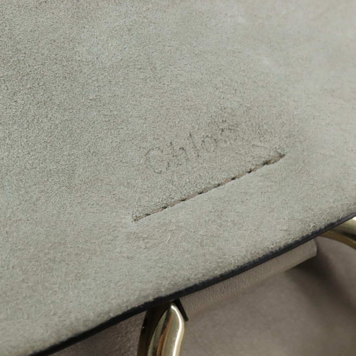 Chloe Faye Leather and Suede Medium