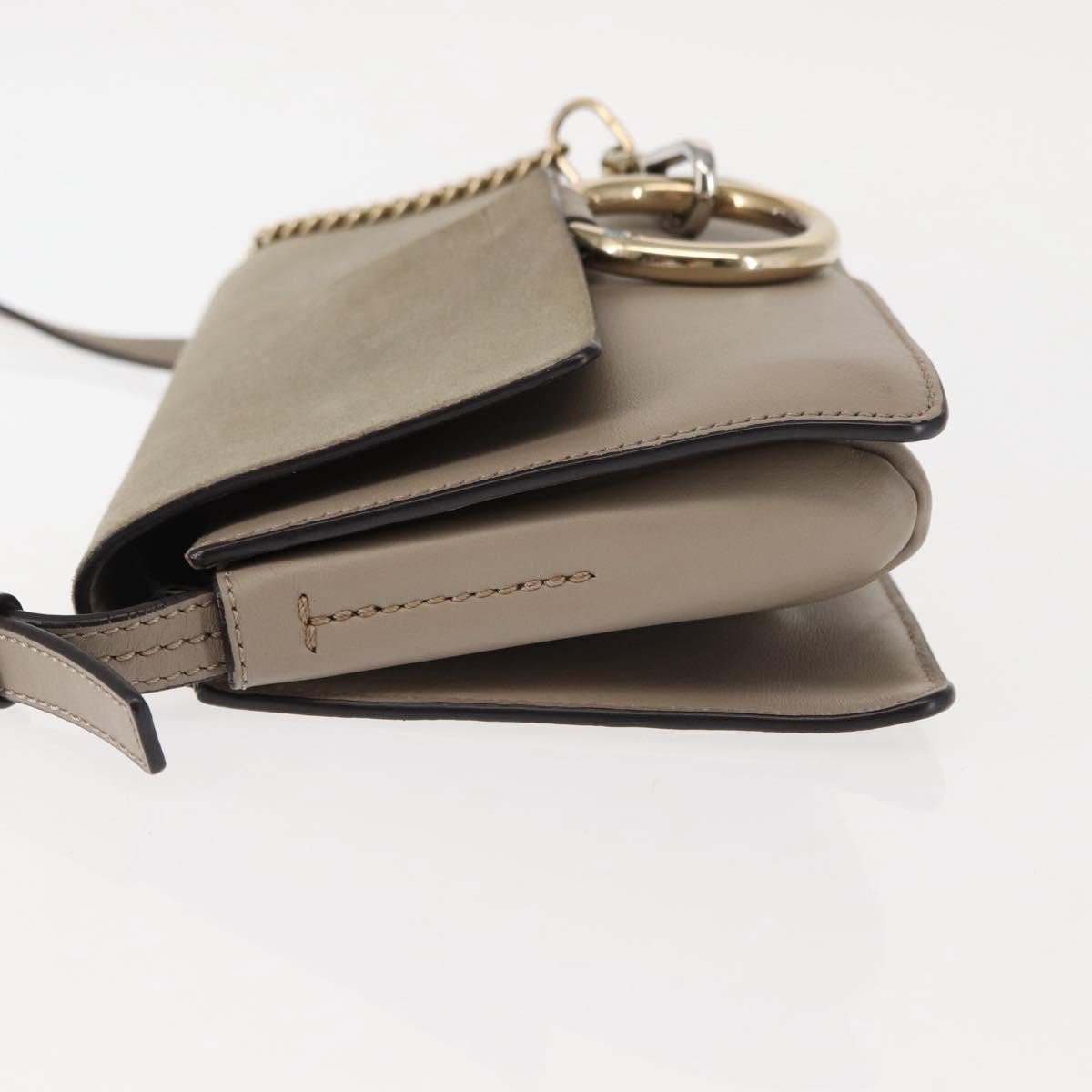 Chloe Faye Leather and Suede Small