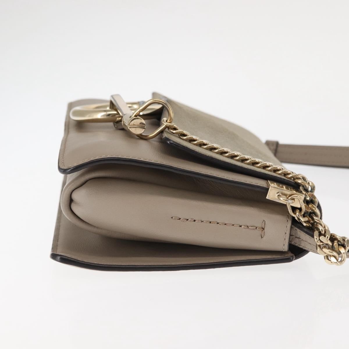 Chloe Faye Leather and Suede Small