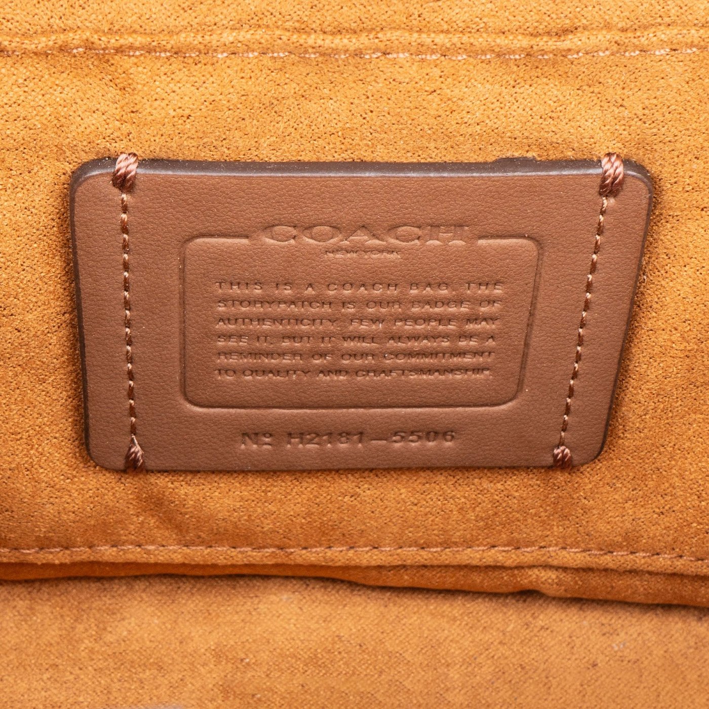 Coach Pebbled Leather Georgie Gem Vanity Case Rivets Crossbody Handbag