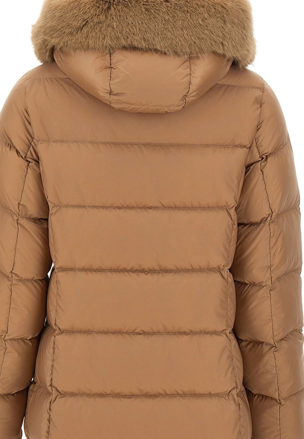 Coats Brown