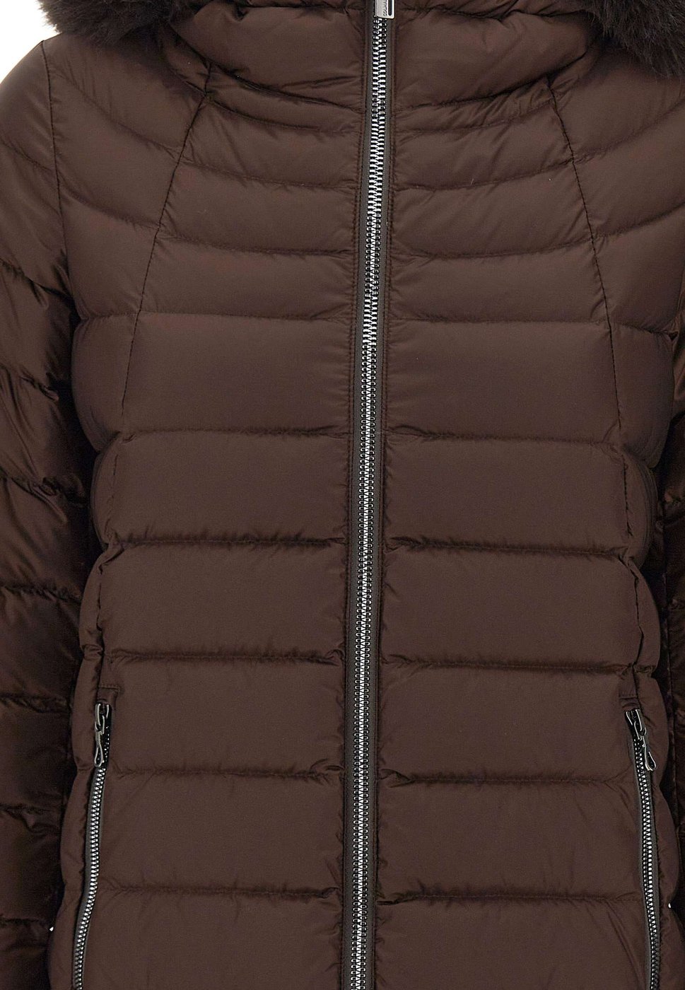 Coats Brown