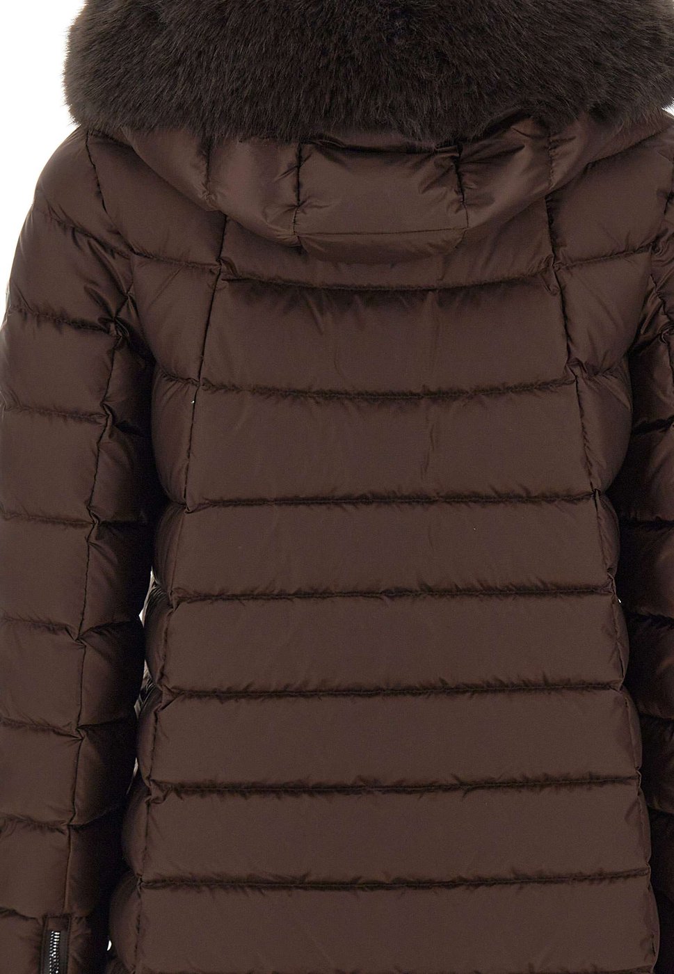 Coats Brown