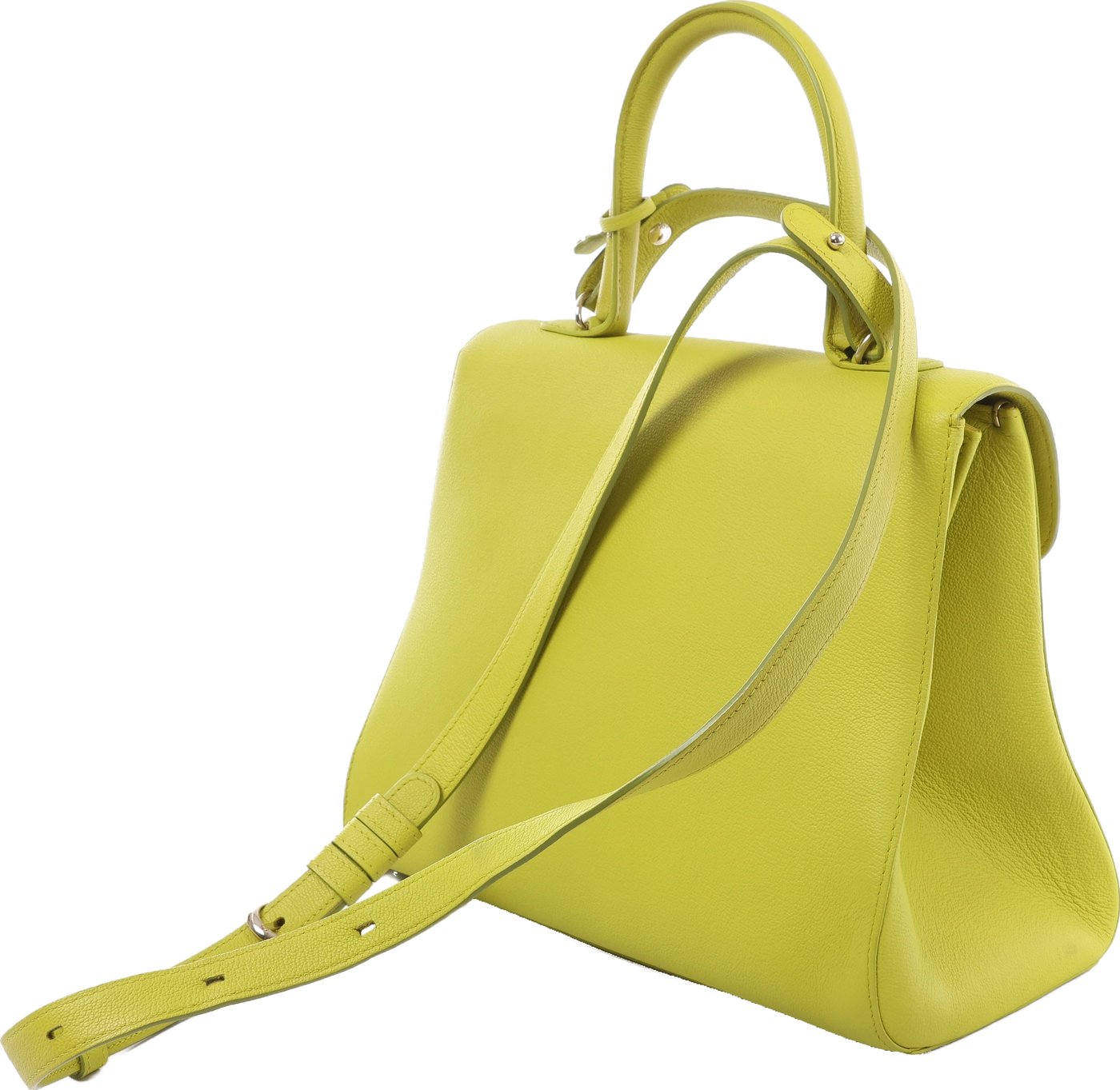 Delvaux Brillant MM Leather 2Way Handbag in Green