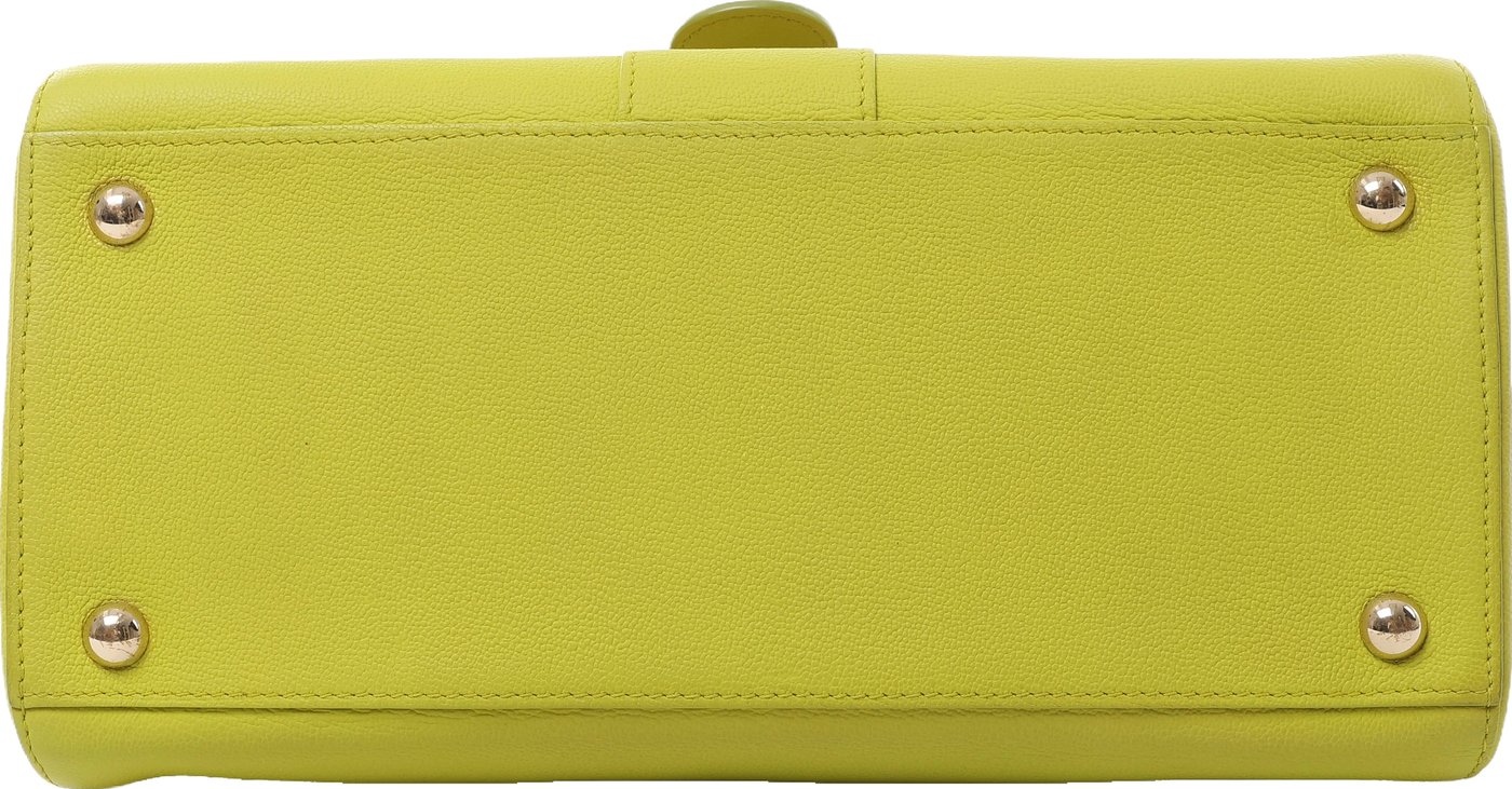 Delvaux Brillant MM Leather 2Way Handbag in Green
