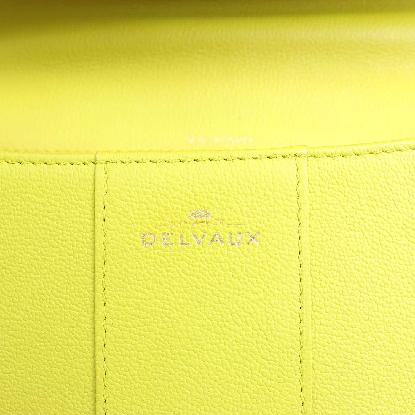 Delvaux Brillant MM Leather 2Way Handbag in Green