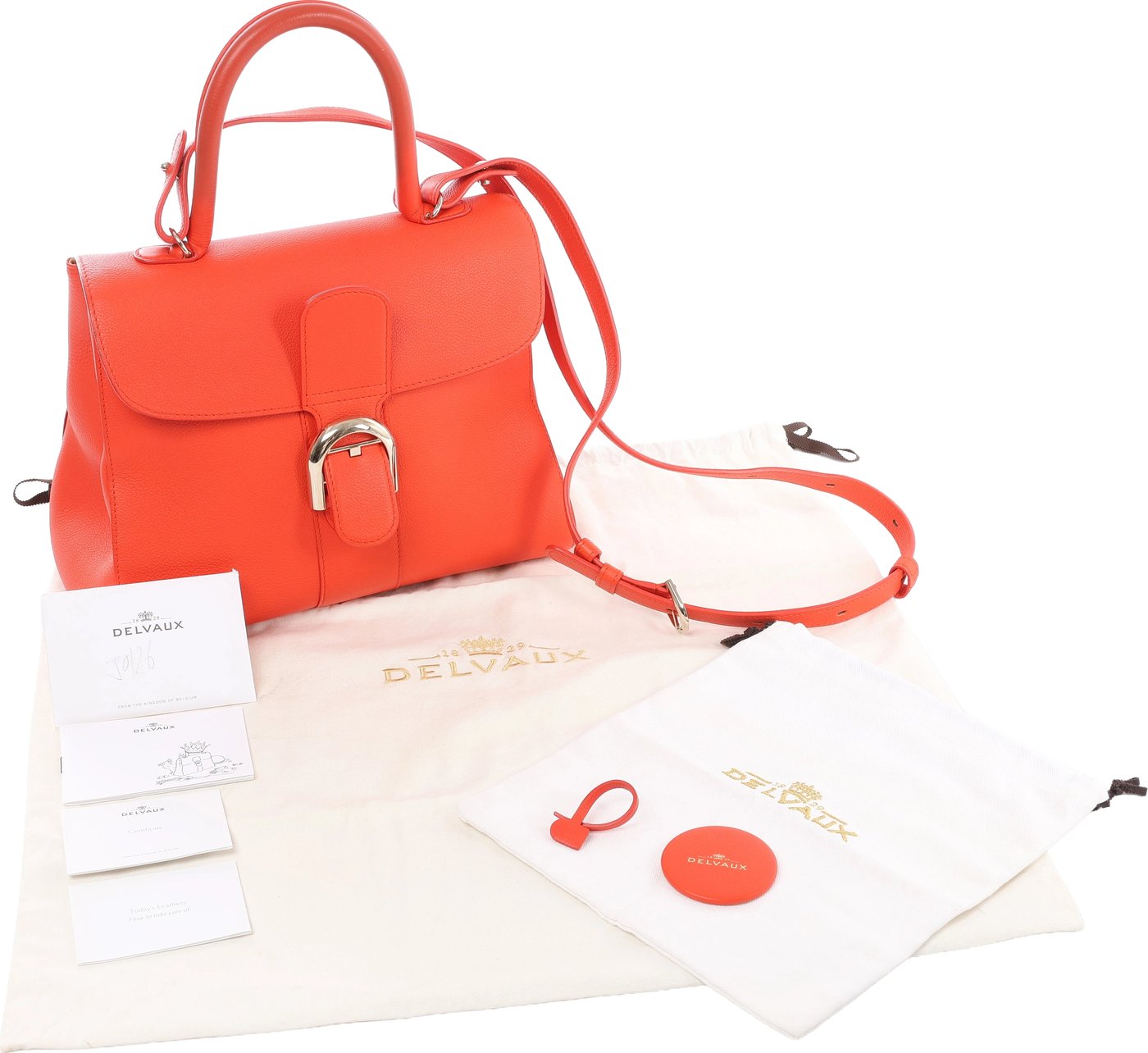 Delvaux Brillant MM Leather 2Way Handbag in Orange