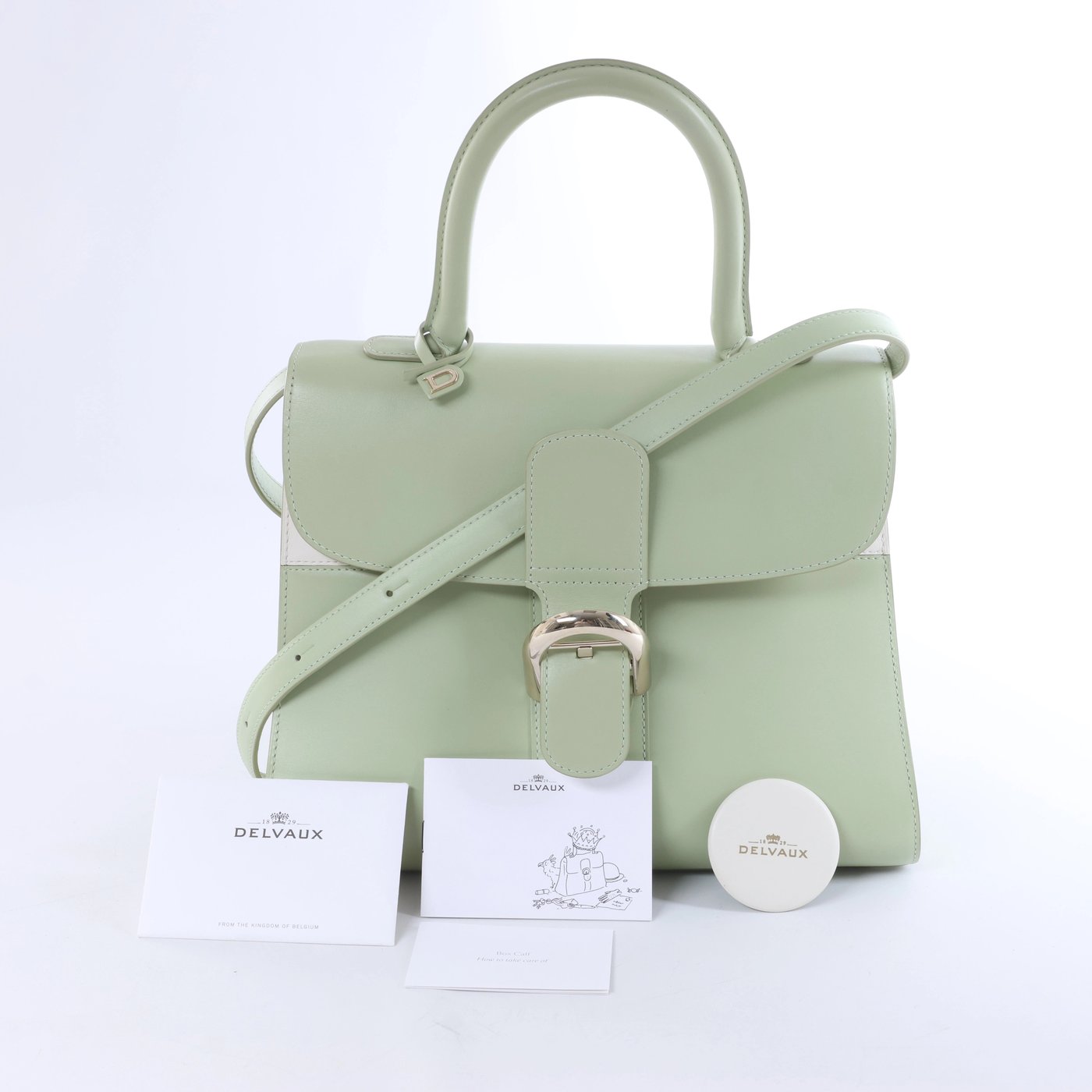 Delvaux Brillant MM Leather 2Way Handbag in Green