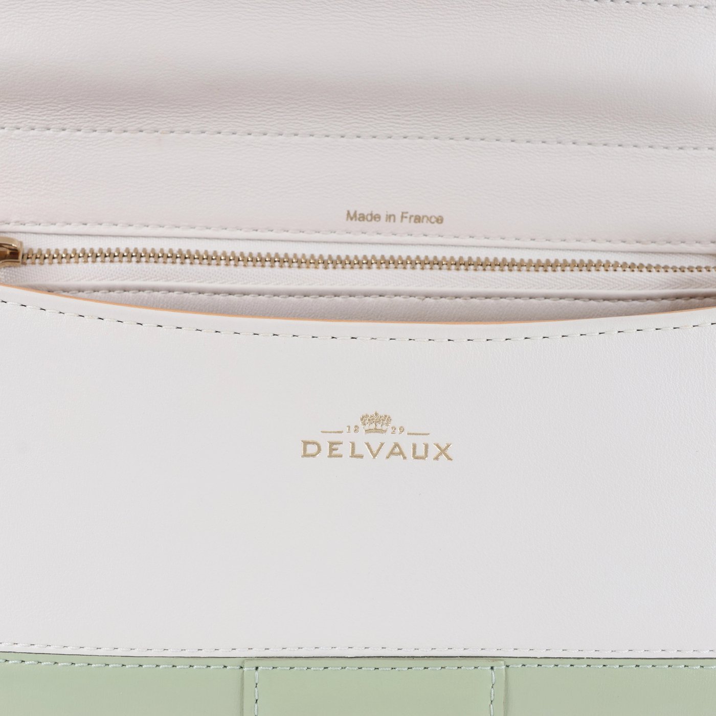 Delvaux Brillant MM Leather 2Way Handbag in Green