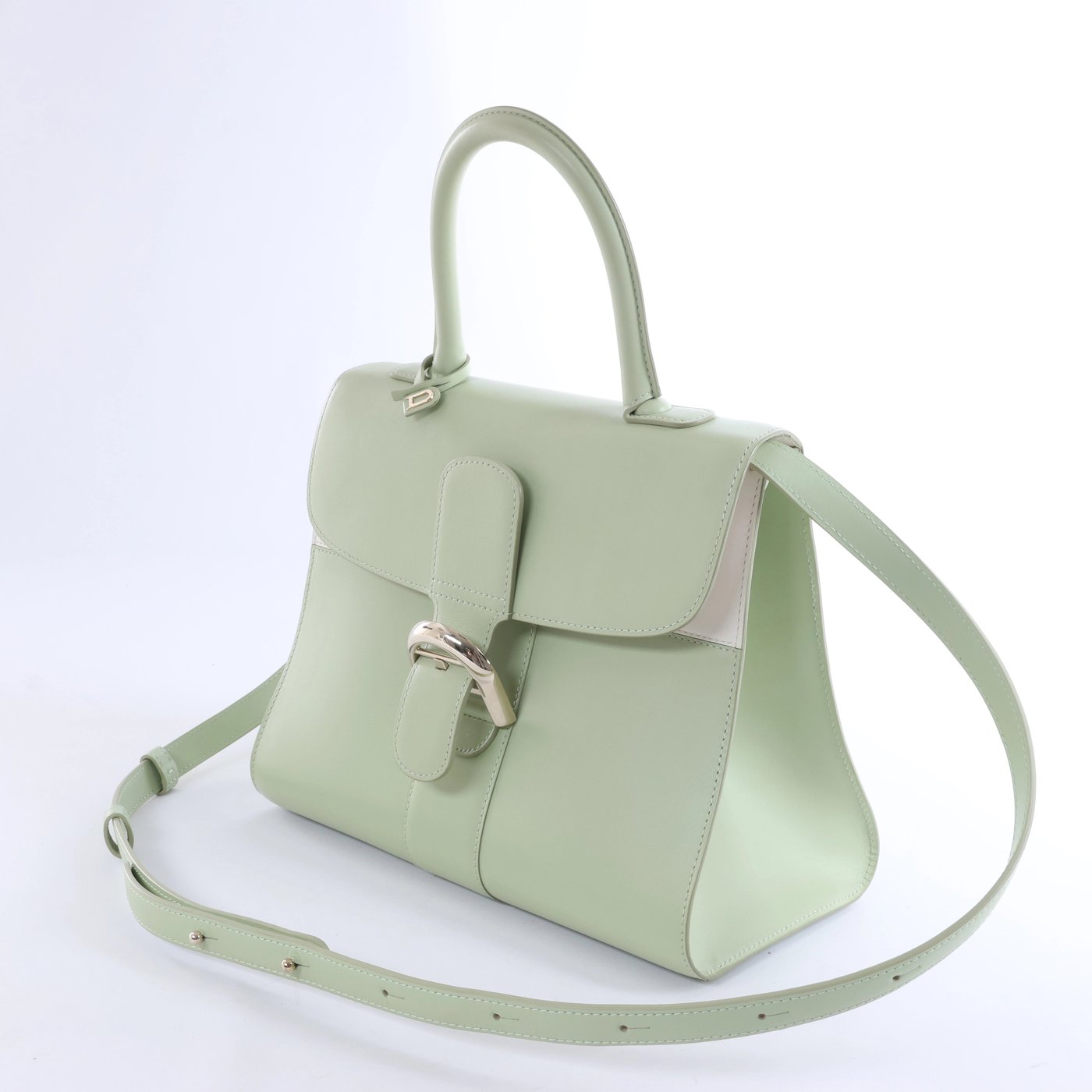 Delvaux Brillant MM Leather 2Way Handbag in Green