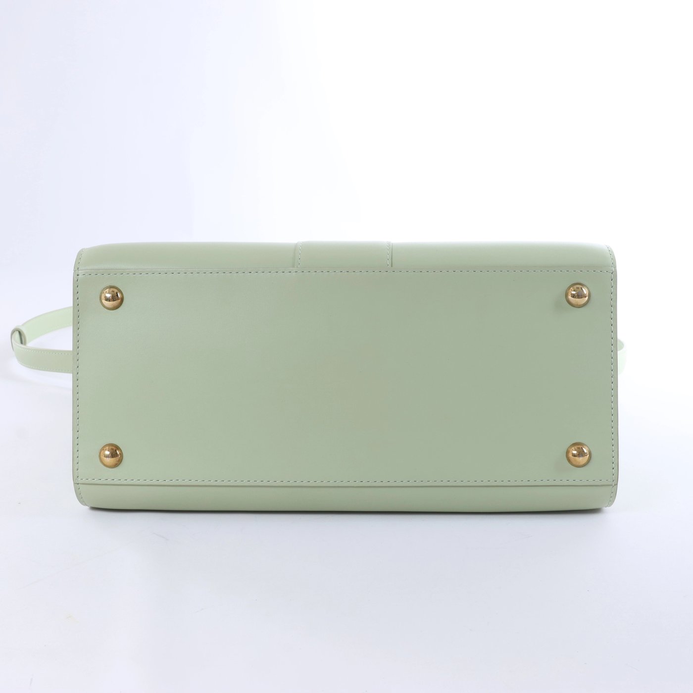 Delvaux Brillant MM Leather 2Way Handbag in Green