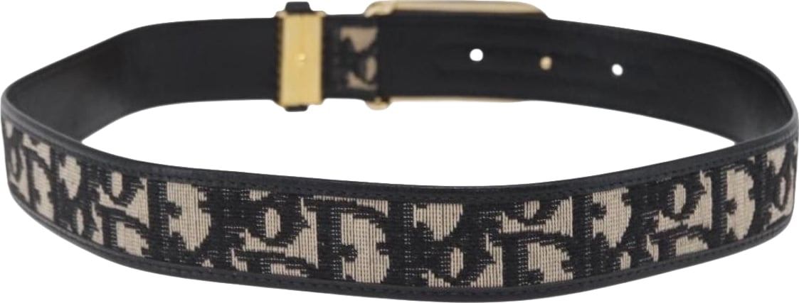Christian Dior D Buckle Belt Canvas and Leather