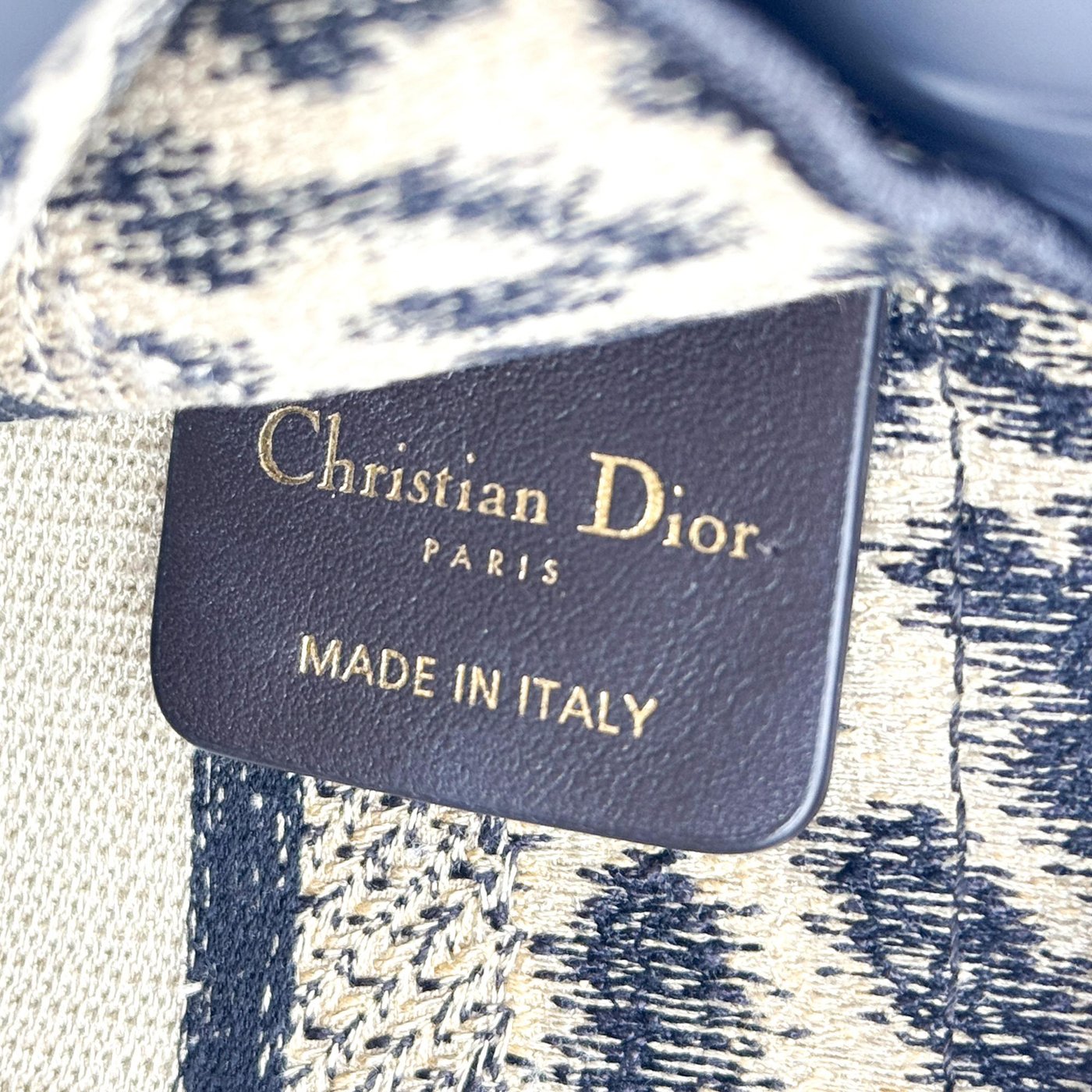 Christian Dior Book Mizza Embroidered Canvas Mini