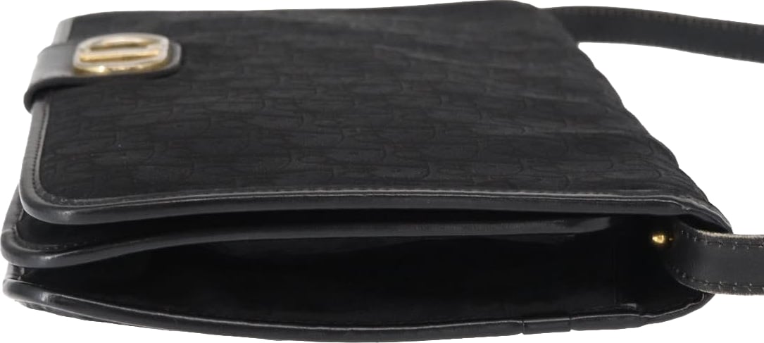 Christian Dior Vintage CD trotter Canvas