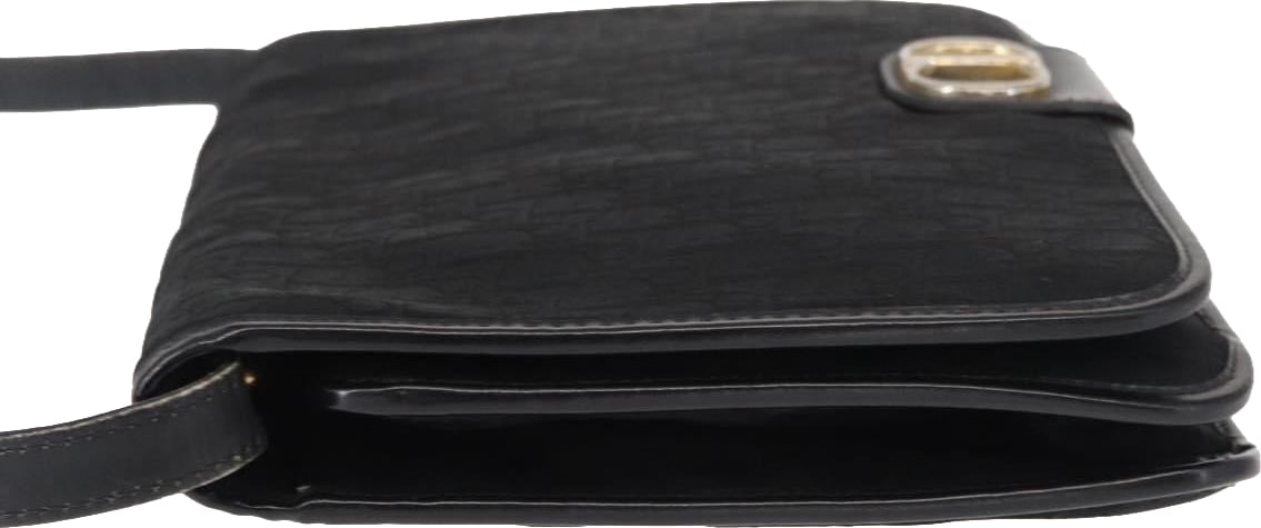 Christian Dior Vintage CD trotter Canvas