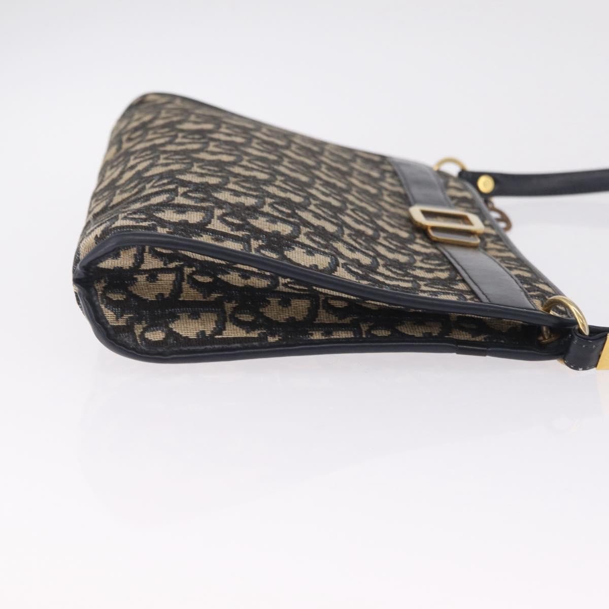 Christian Dior Trotter shoulder Canvas