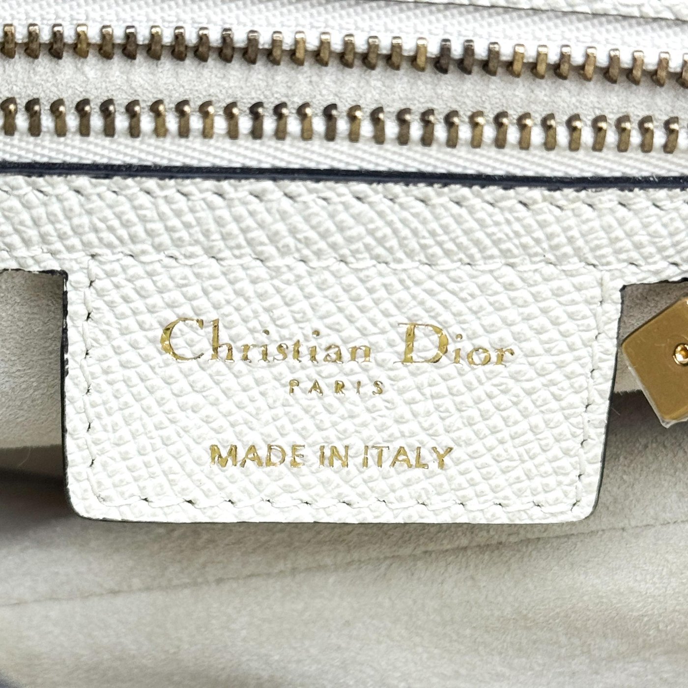 Christian Dior Saddle Leather Medium