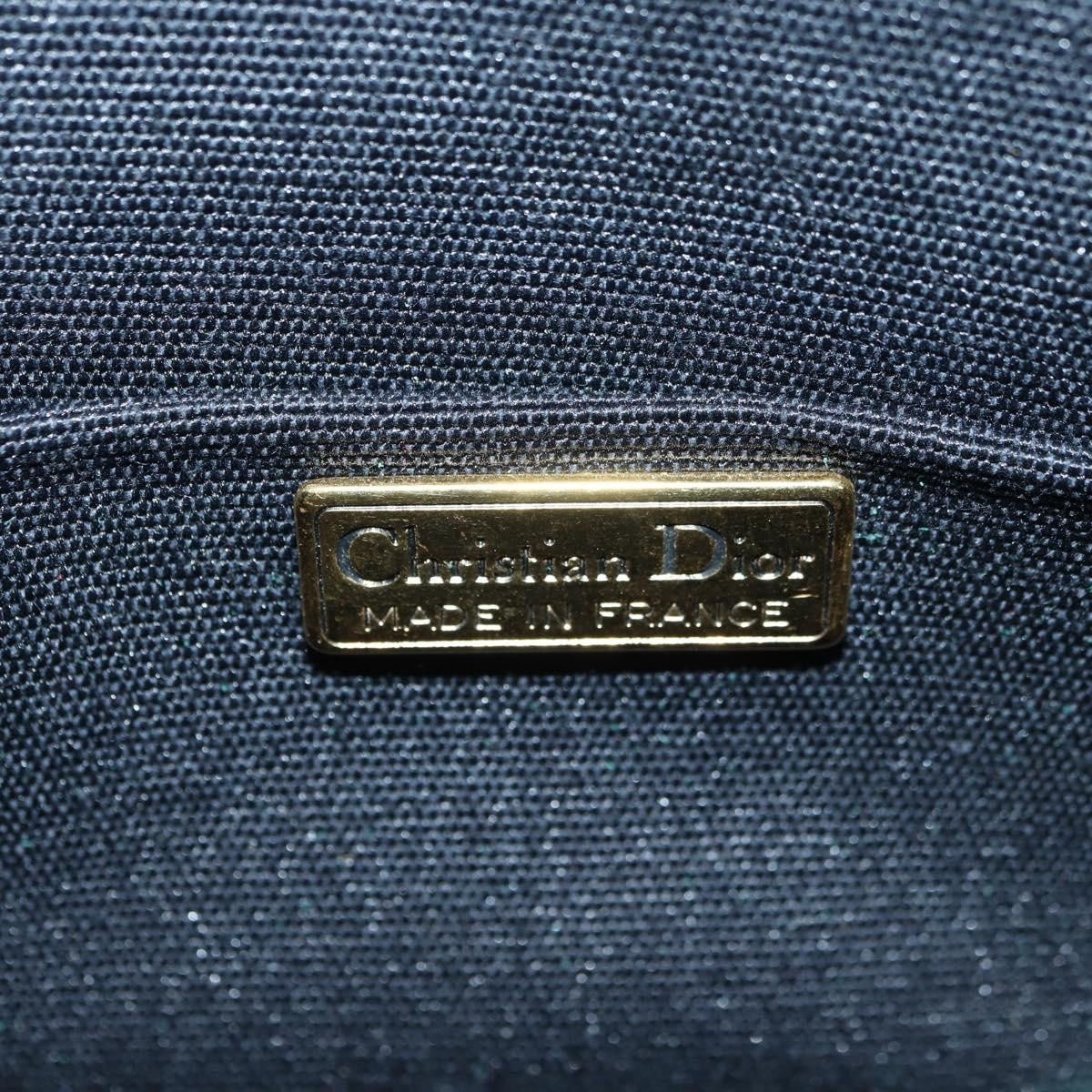 Christian Dior Shoulder Suede