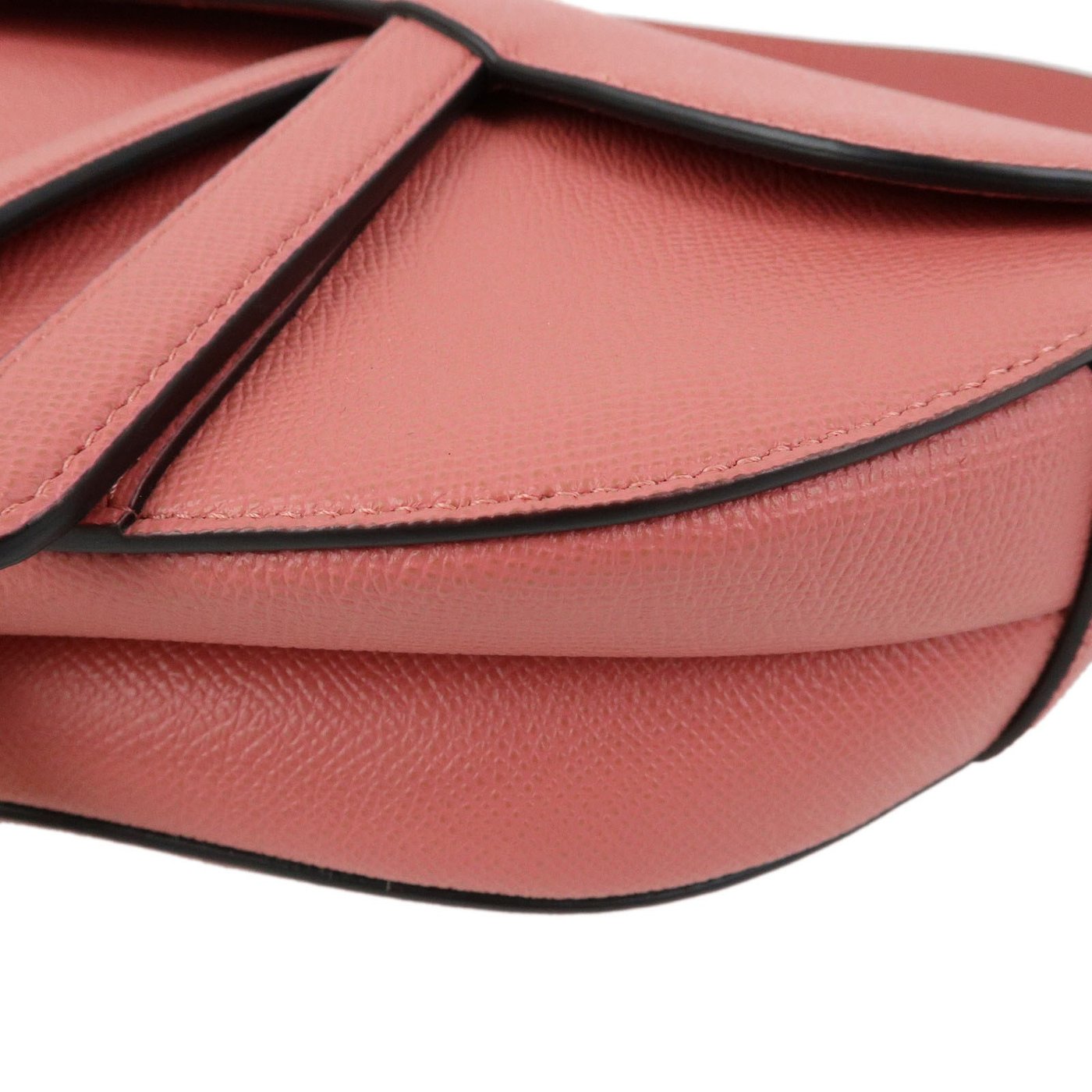 Christian Dior Saddle Embroidered Printed Leather Mini