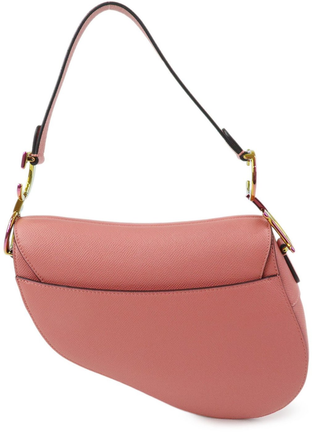 Christian Dior Saddle Embroidered Printed Leather Mini