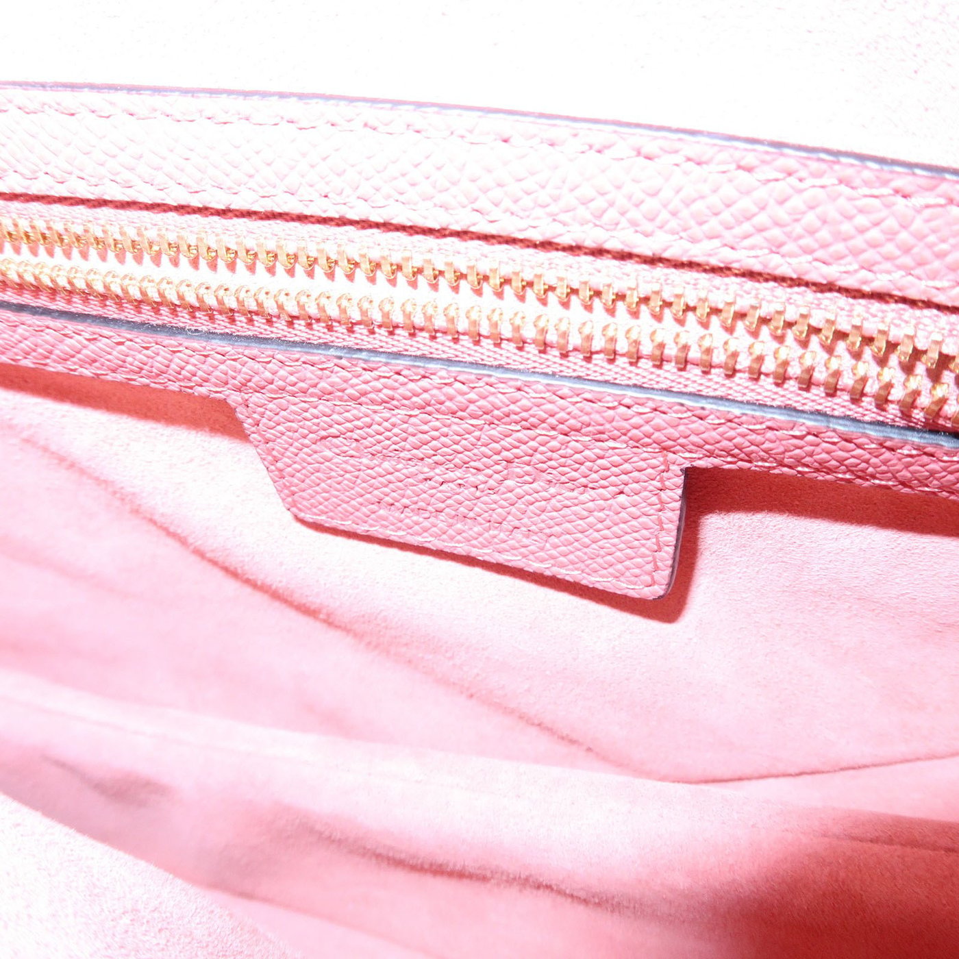 Christian Dior Saddle Embroidered Printed Leather Mini