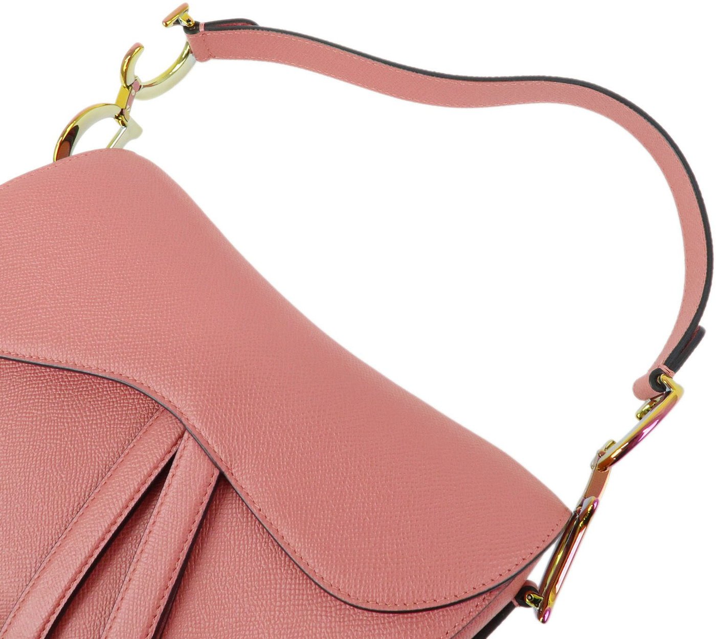 Christian Dior Saddle Embroidered Printed Leather Mini
