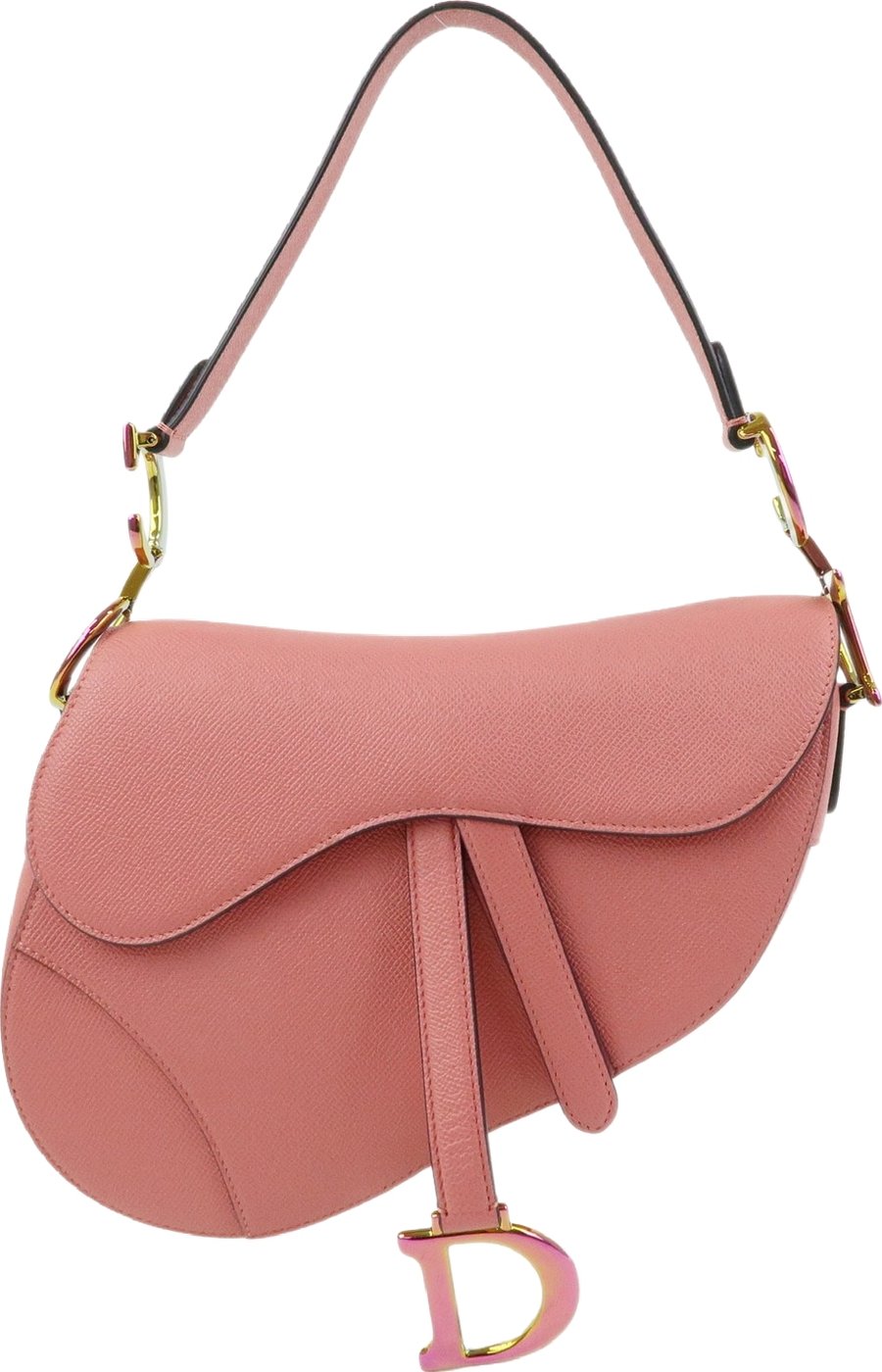 Christian Dior Saddle Embroidered Printed Leather Mini