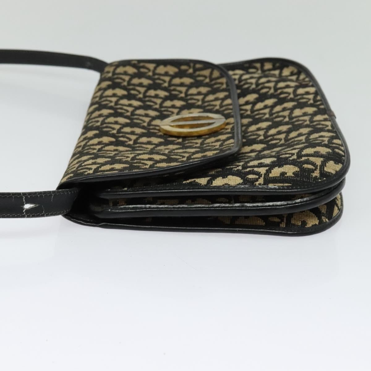 Christian Dior Trotter shoulder Canvas