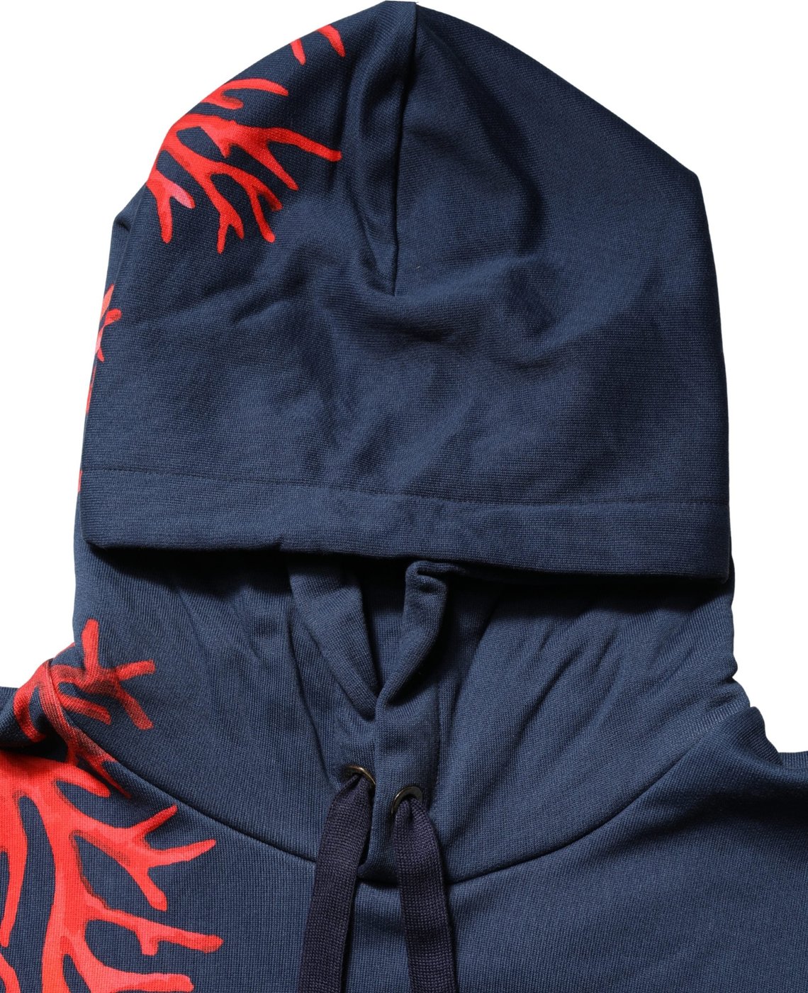 Dolce & Gabbana Blue Cotton Coral Logo Hooded Sweatshirt Sweater