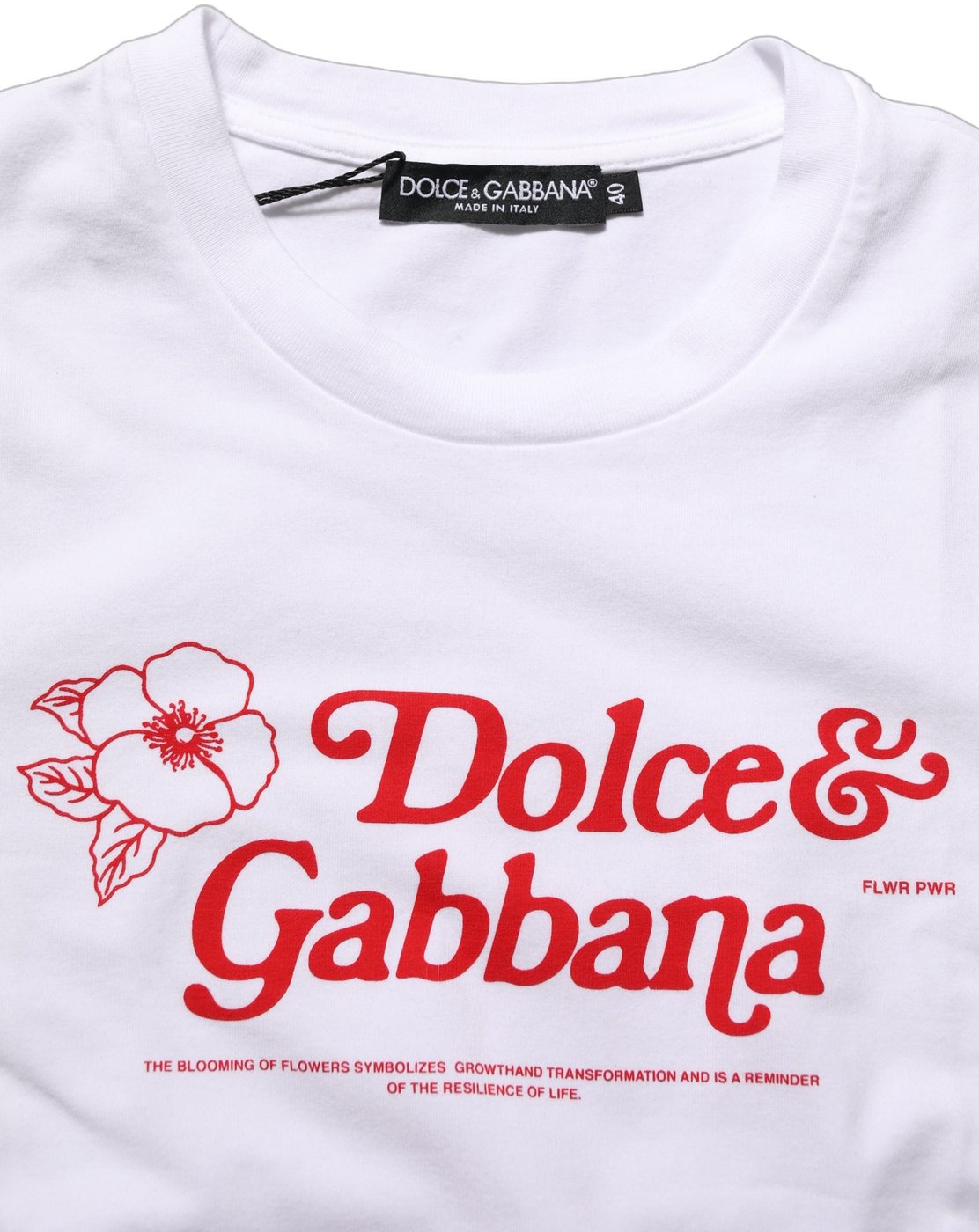 Dolce & Gabbana White Floral Logo Print Crew Neck T-shirt