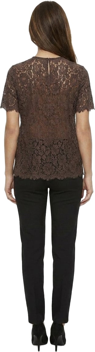 Dolce & Gabbana Brown Cotton T-Shirt