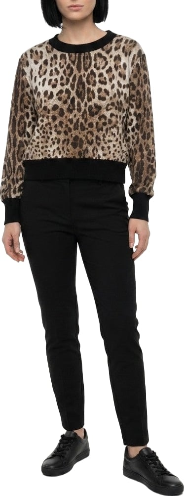 Dolce & Gabbana Brown Cotton Sweatshirt
