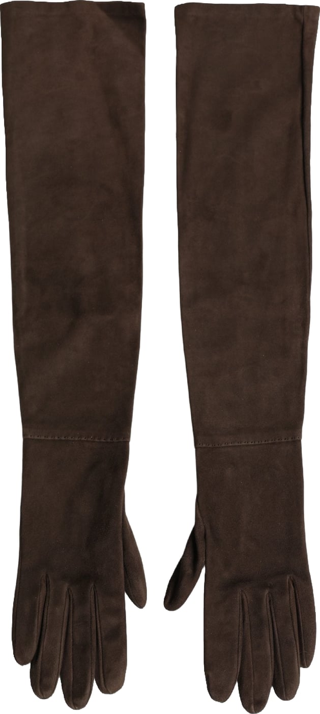 Dolce & Gabbana Brown Genuine Leather Suede Elbow Length Gloves