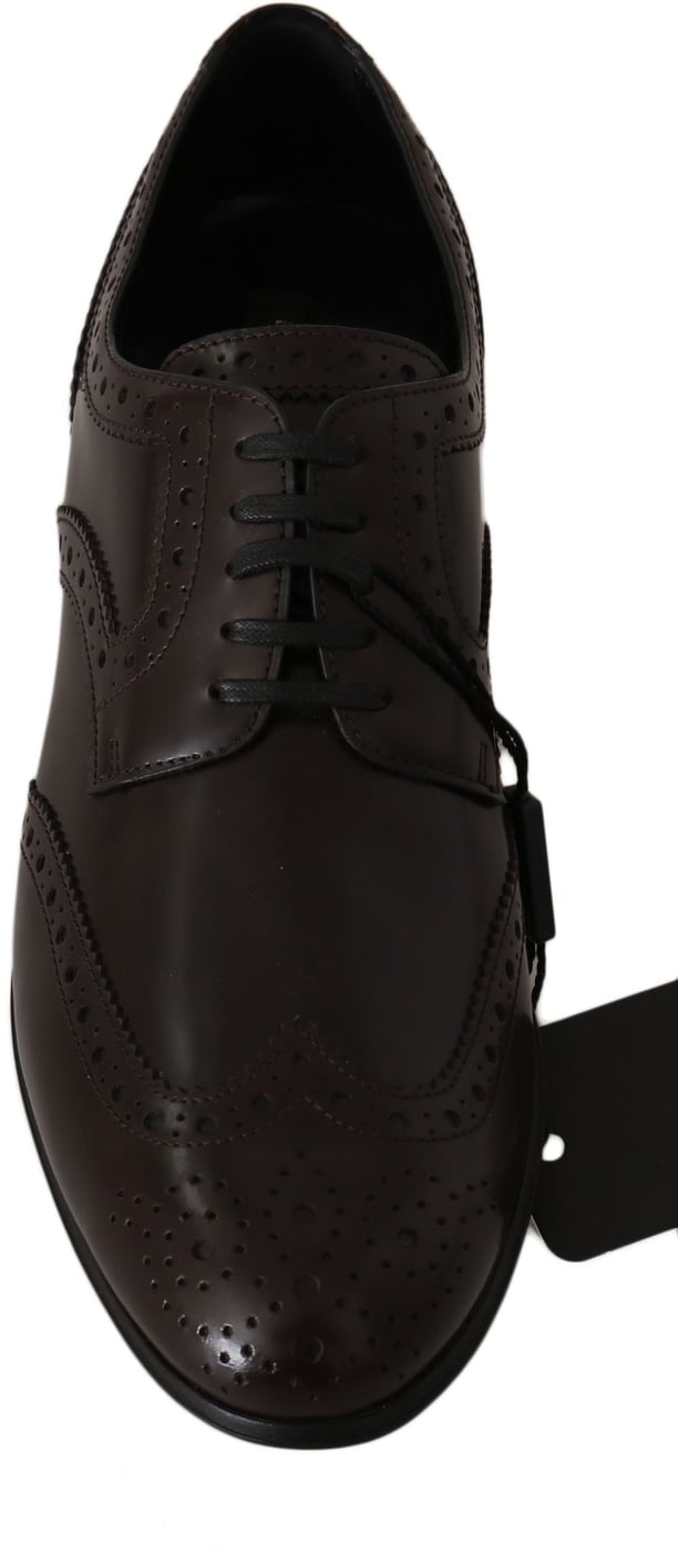 Dolce & Gabbana Brown Leather Broques Oxford Wingtip Shoes