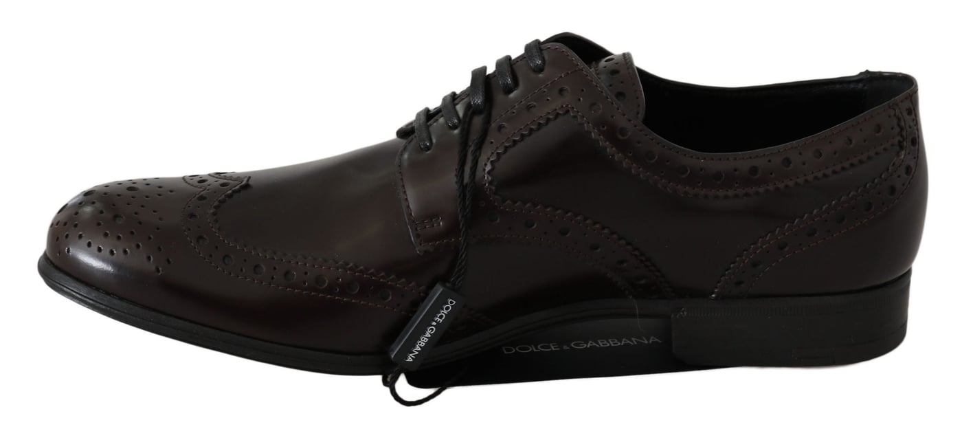 Dolce & Gabbana Brown Leather Broques Oxford Wingtip Shoes