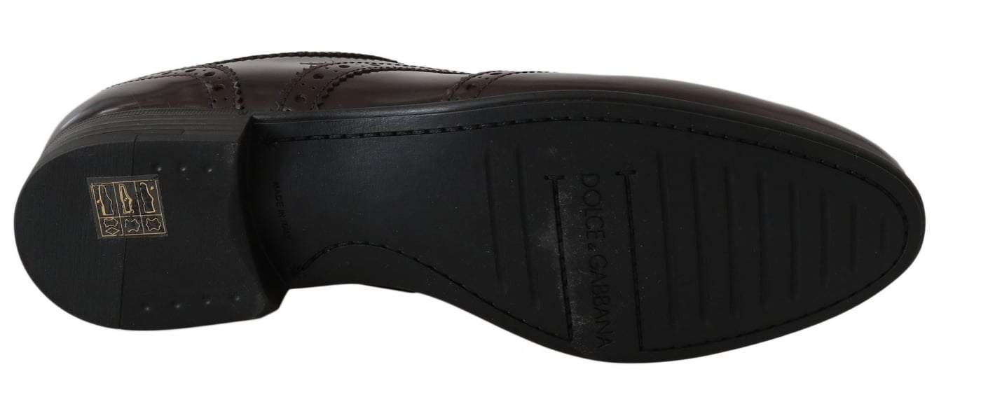 Dolce & Gabbana Brown Leather Broques Oxford Wingtip Shoes
