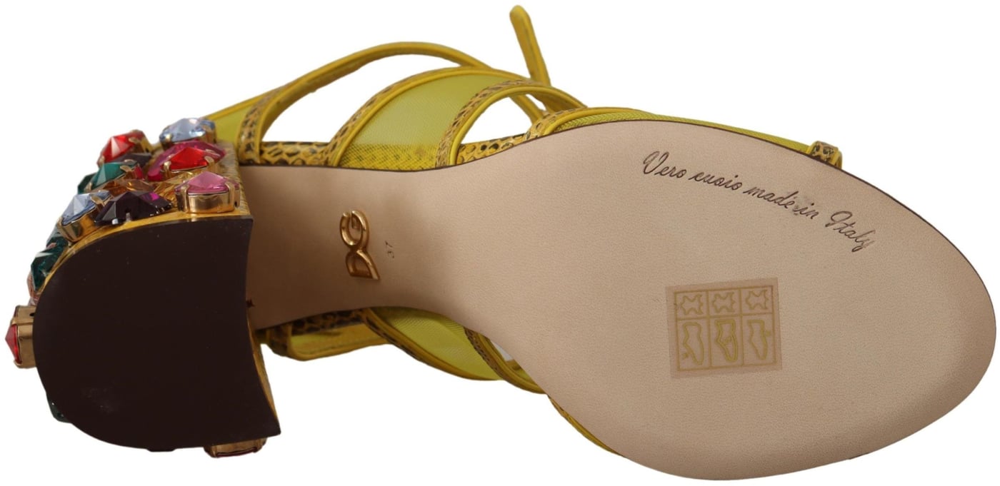 Dolce & Gabbana Yellow Leather Crystal Ayers Sandals Shoes