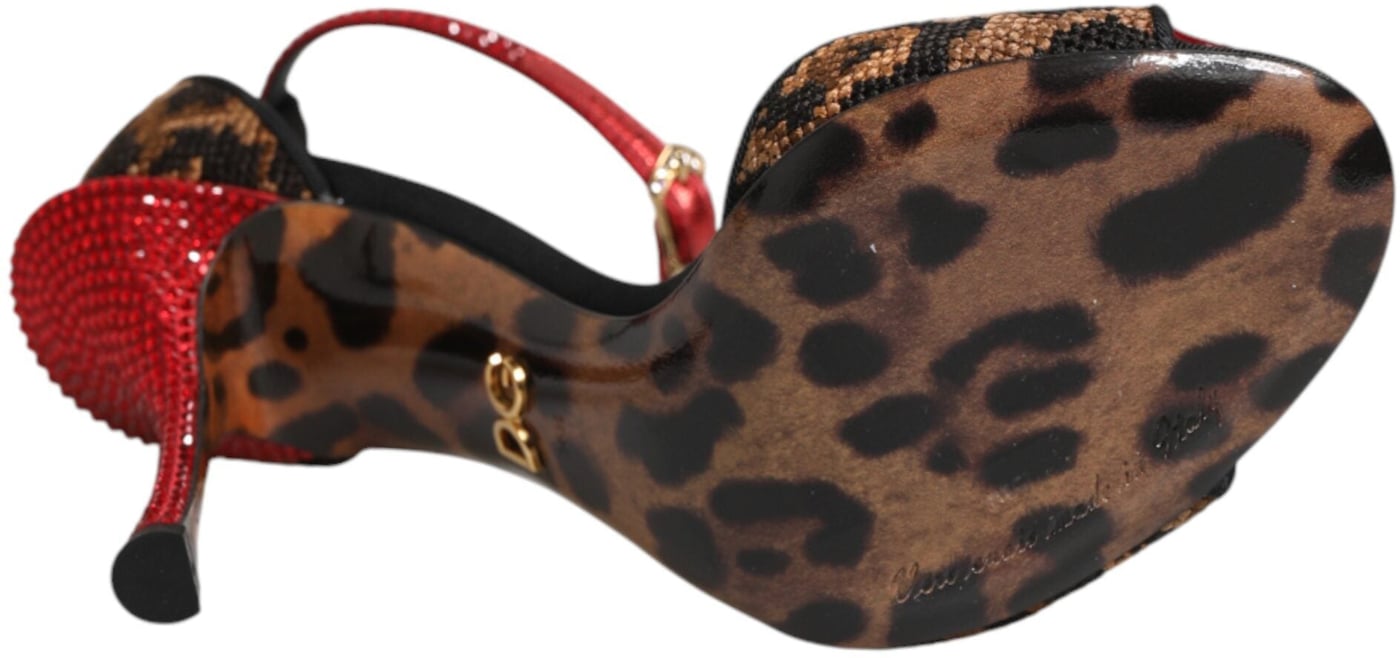 Dolce & Gabbana Brown Leopard Crystal Roses Sandals Shoes