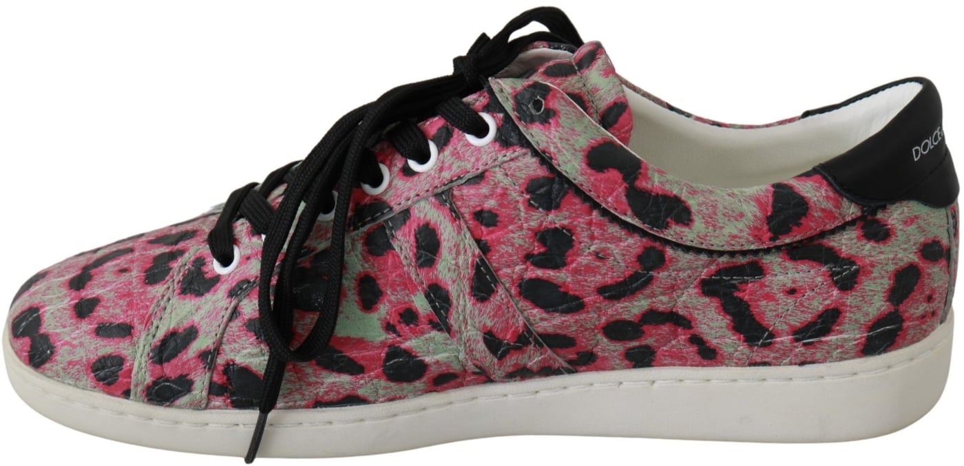 Dolce & Gabbana Pink Leopard Print Training Leather Flat Sneakers