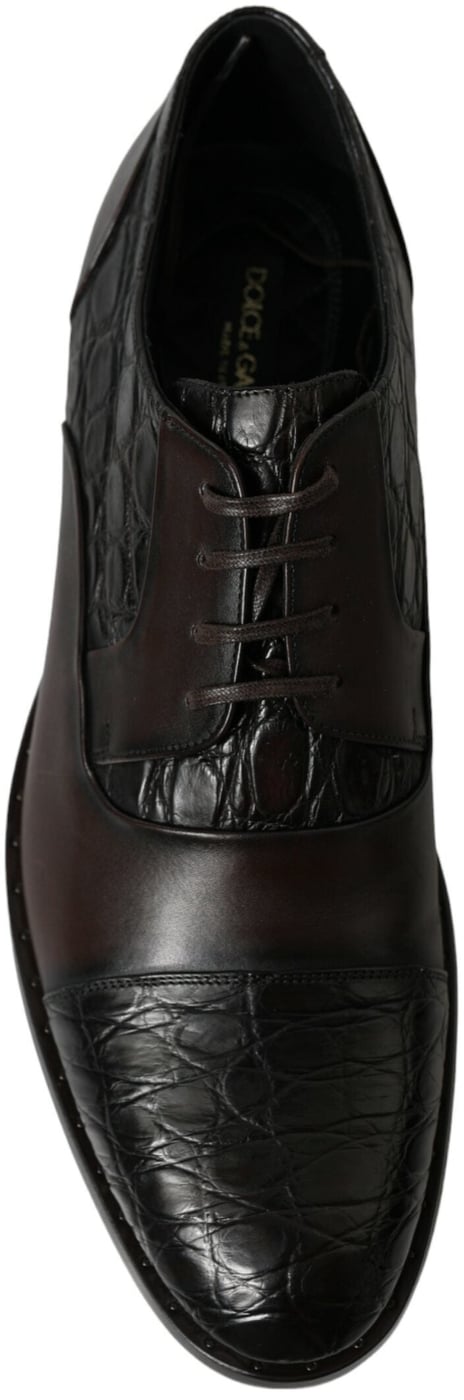 Dolce & Gabbana Brown Exotic Leather Formal Men Dress Shoes