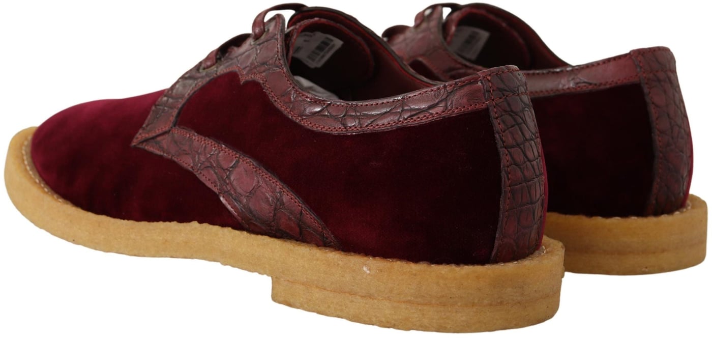 Dolce & Gabbana Bordeaux Velvet Exotic Leather Shoes