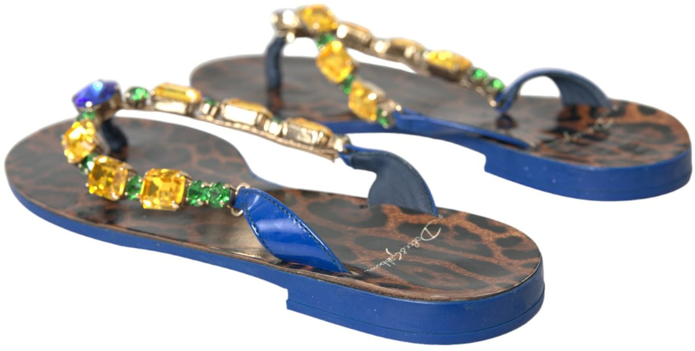Dolce & Gabbana Blue Crystal Calf Leather Beachwear Shoes