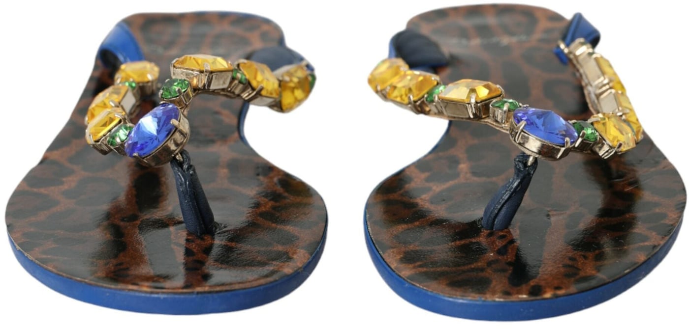 Dolce & Gabbana Blue Crystal Calf Leather Beachwear Shoes