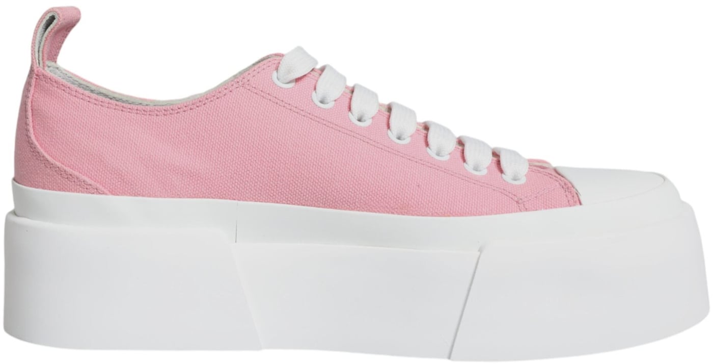 Dolce & Gabbana Pink White Canvas Logo Low Top Sneakers Shoes