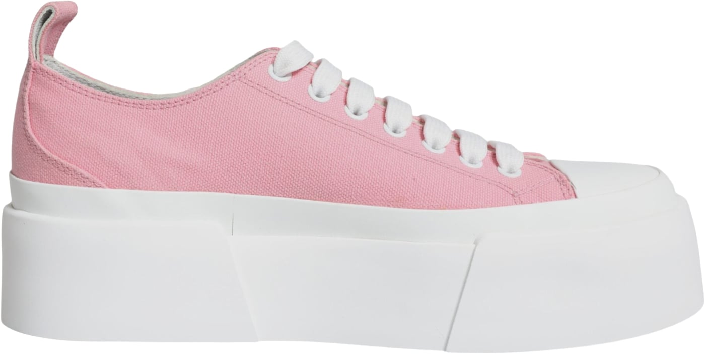 Dolce & Gabbana Pink White Canvas Logo Low Top Sneakers Shoes