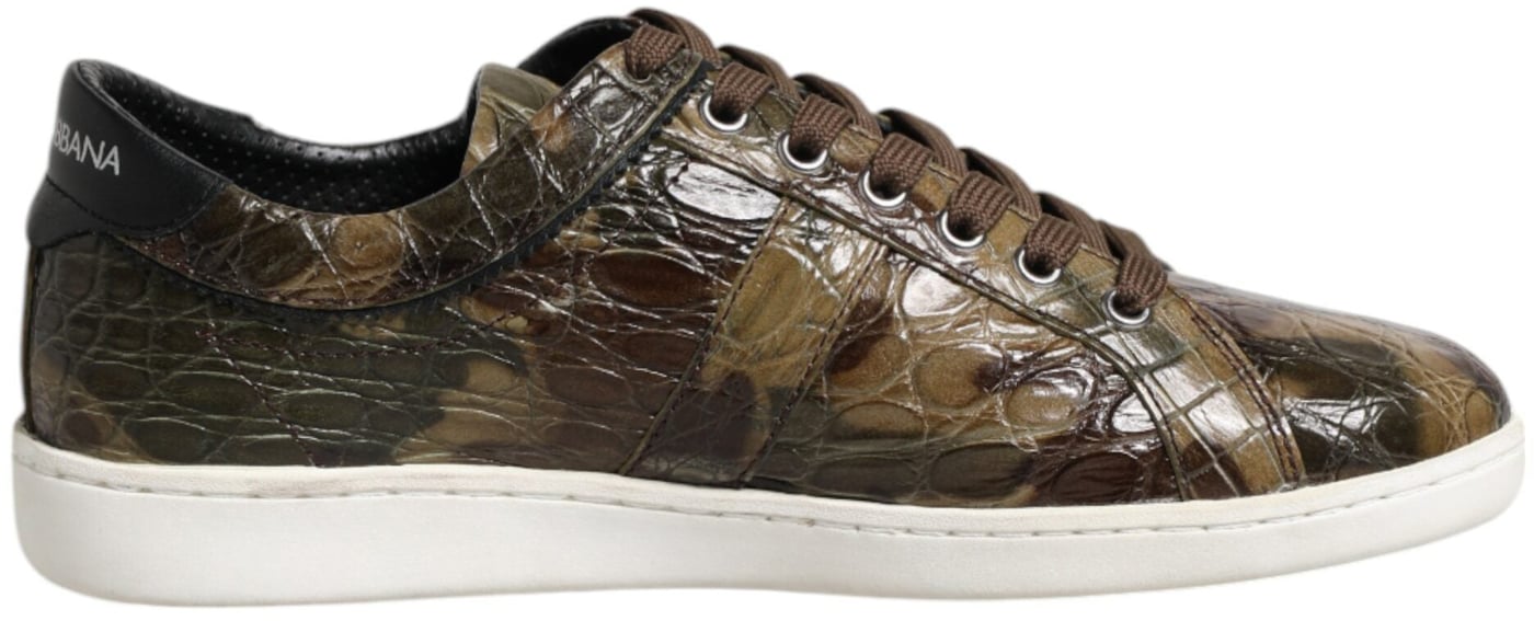 Dolce & Gabbana Brown Exotic Leather Low Top Sneakers Shoes