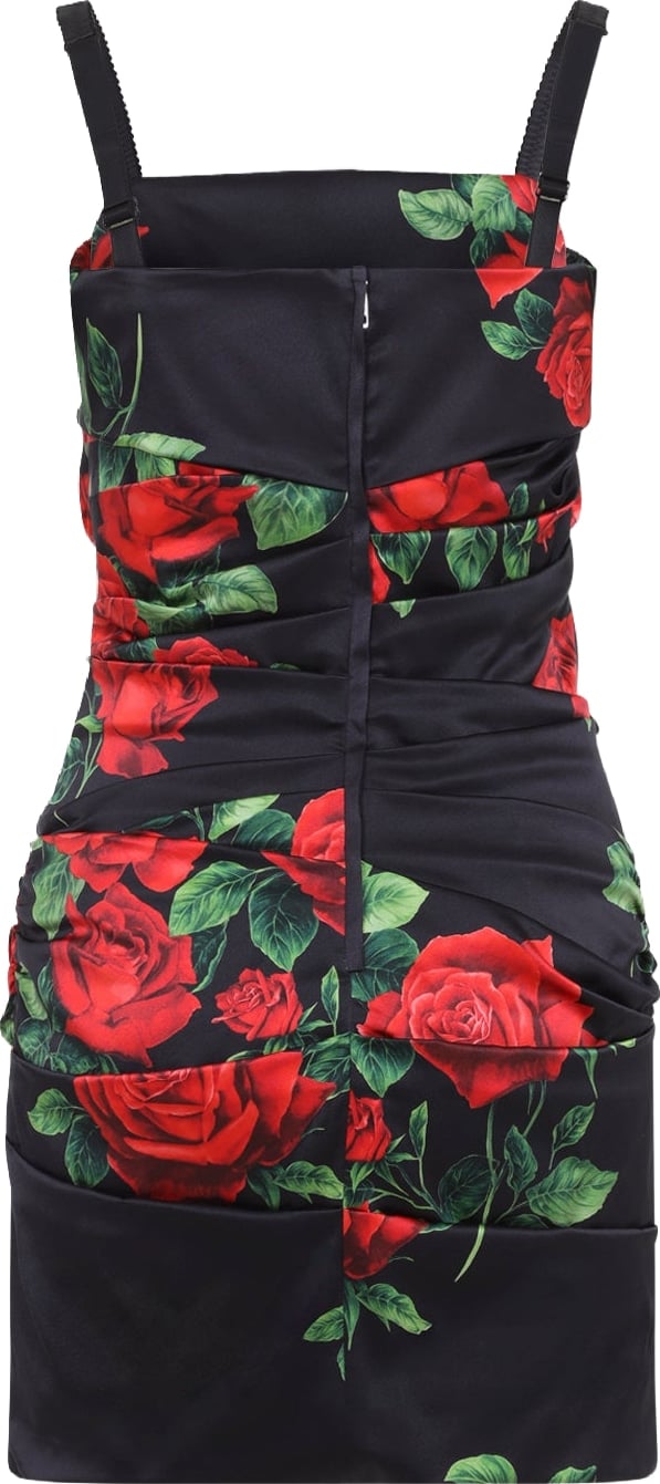 Dolce & Gabbana Rose Rosse Mini Dress