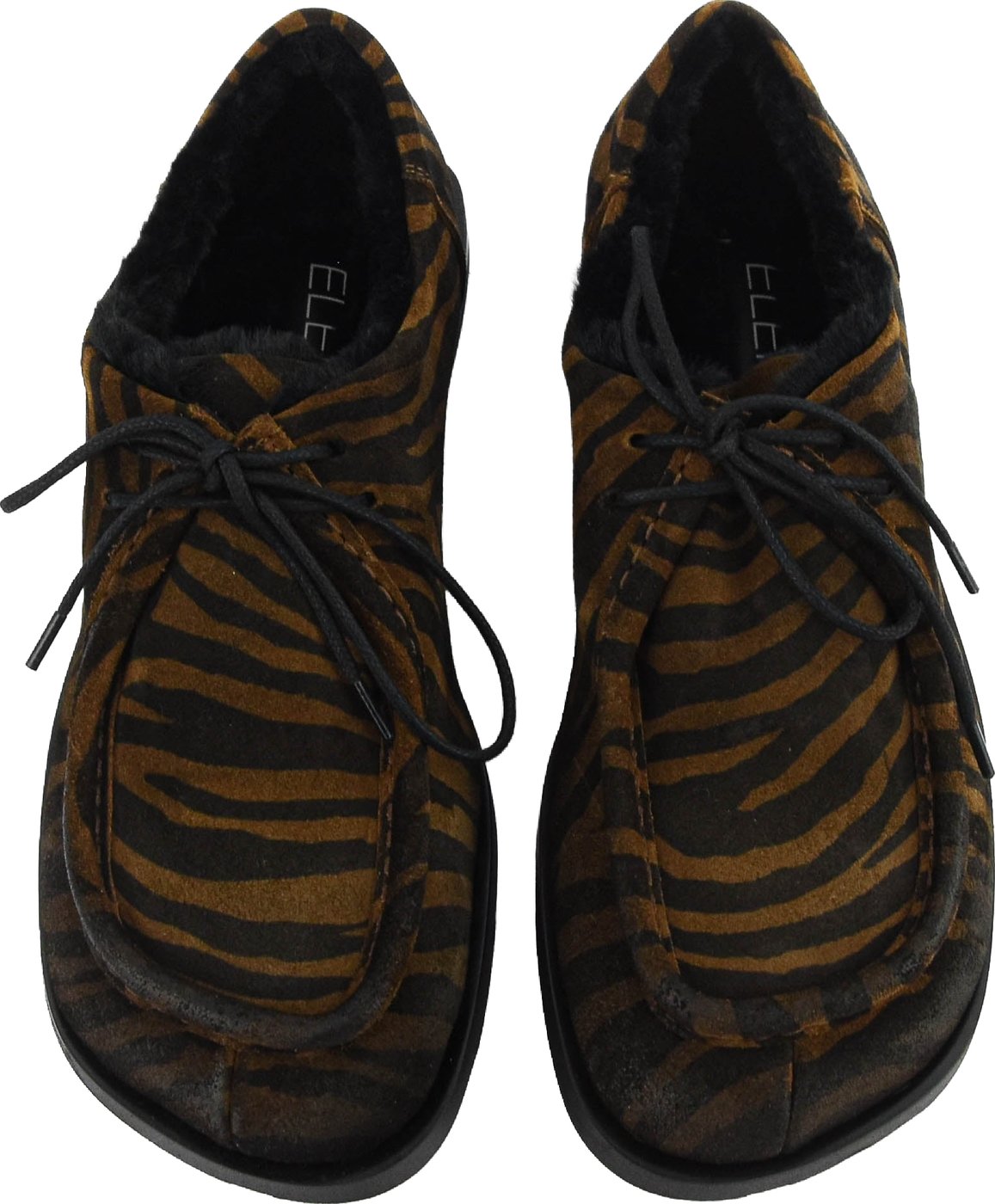 Lace Up Zebra