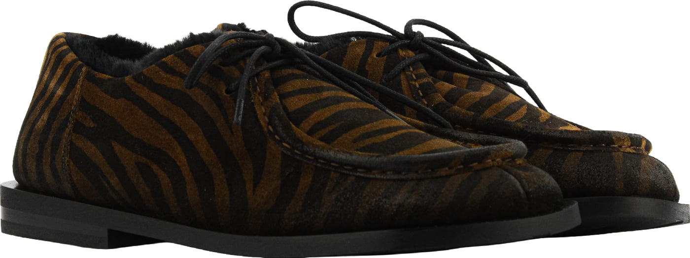 Lace Up Zebra
